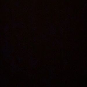 Meet your Posher, Bushra